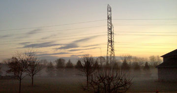 Mist swirling about trees